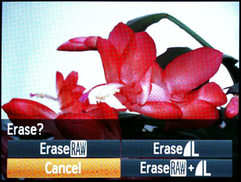 erase_menu.jpg