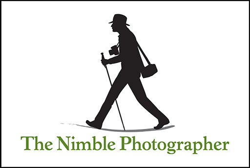 http://thedigitalstory.com/Nimble%20Logo%20with%20Space%20512px.jpg