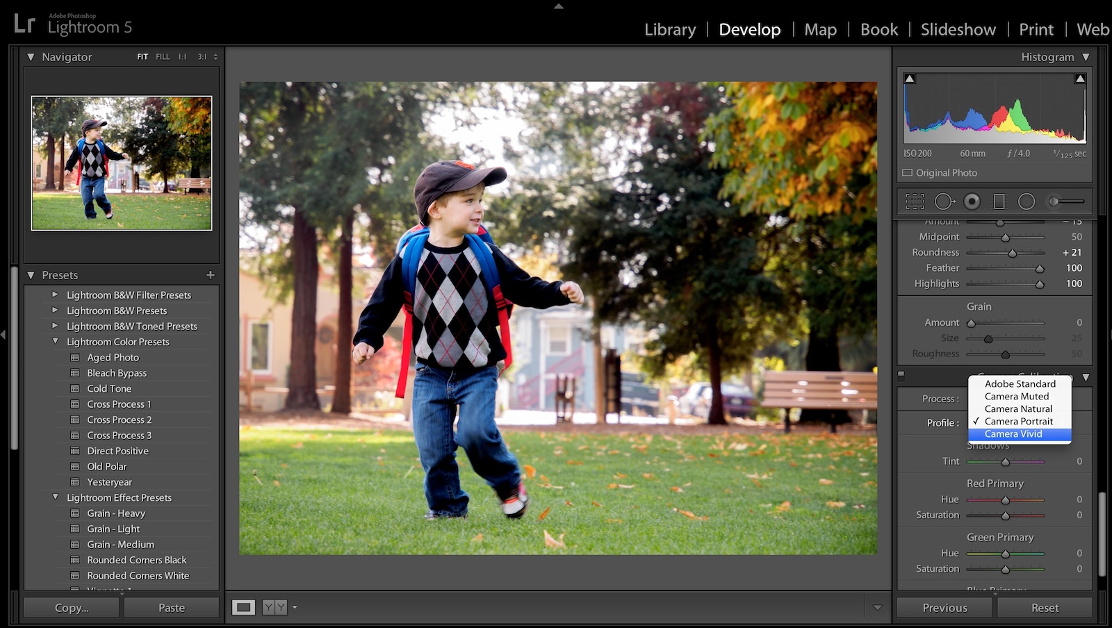 lightroom 5.3