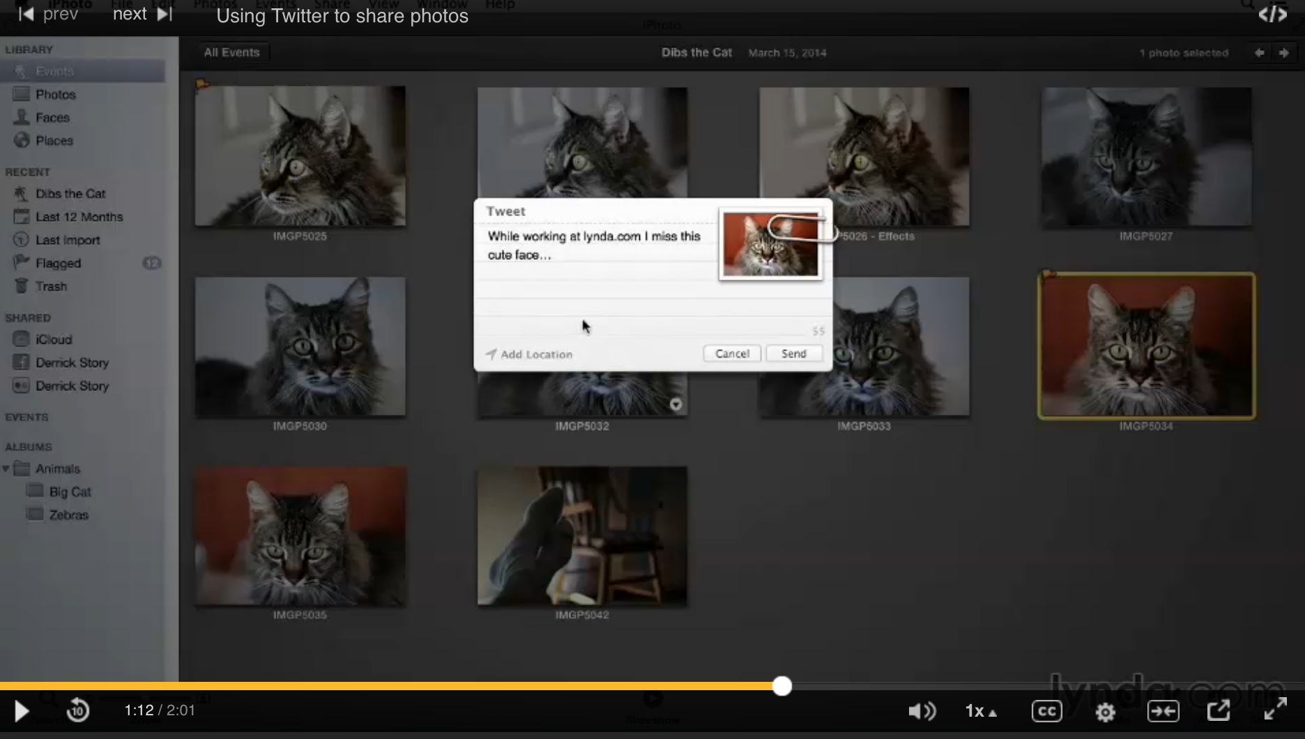 Adding Pictures to Tweets Via iPhoto The Digital Story