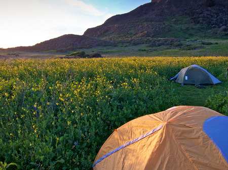 Wildcat Camp, Pt. Reyes, CA