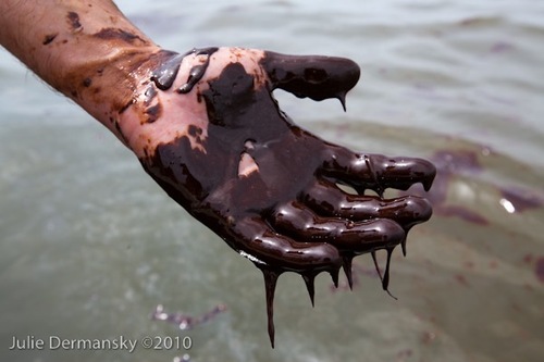 Gulf Oil Spill