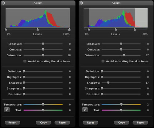 iPhoto Adjust Panel