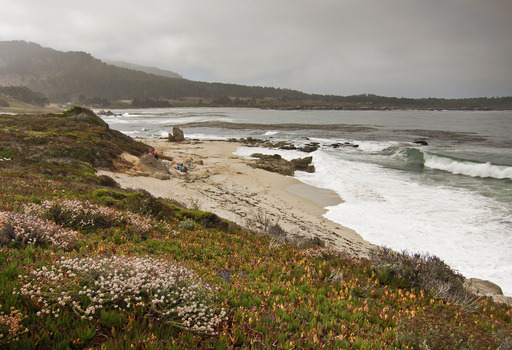 Carmel Beach with Grad Filters