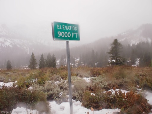 Sonora Pass in the Rain