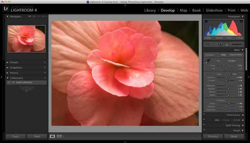 Lightroom 4.3 Develop Module