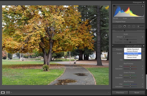 lightroom 5.3 upgrade