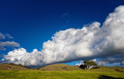 Highway-101-Landscape.jpg