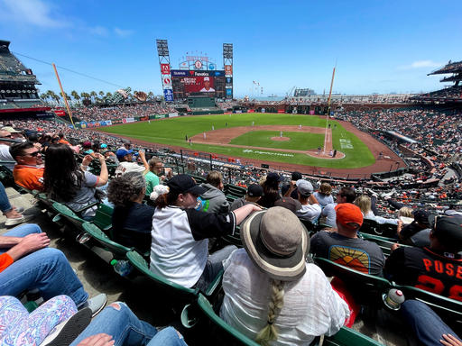 D-Story-SF-Giants.jpeg