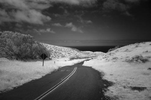 DSCF2808-Pt-Reyes-IR-C1P.jpeg