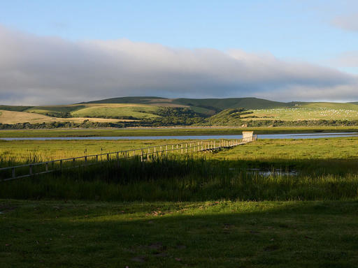 P5153897-Pt-Reyes-1600.jpg