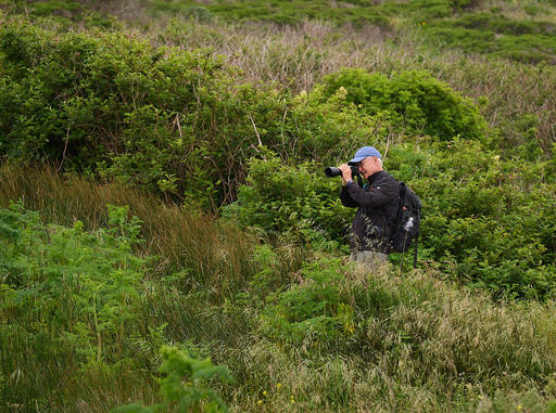 P5174050-Pt-Reyes-1600.jpg