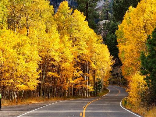 Fall-Color.jpeg