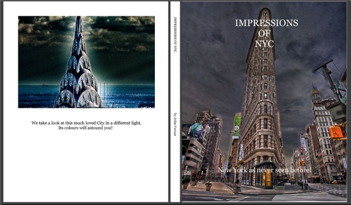 John Farnan - Impressions of NYC