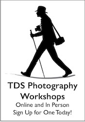 TDS Workshops